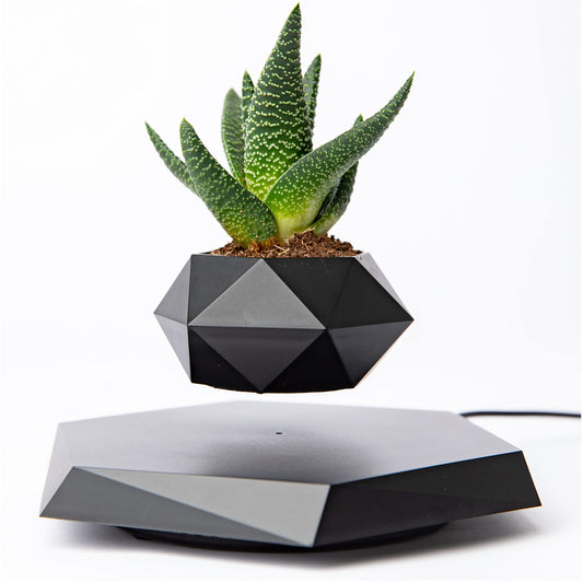 Levitating Magnetic Flower Pot - Optimistopia